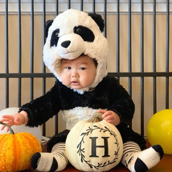 Pottery Barn kids- Panda costume - Picture 3 of 3